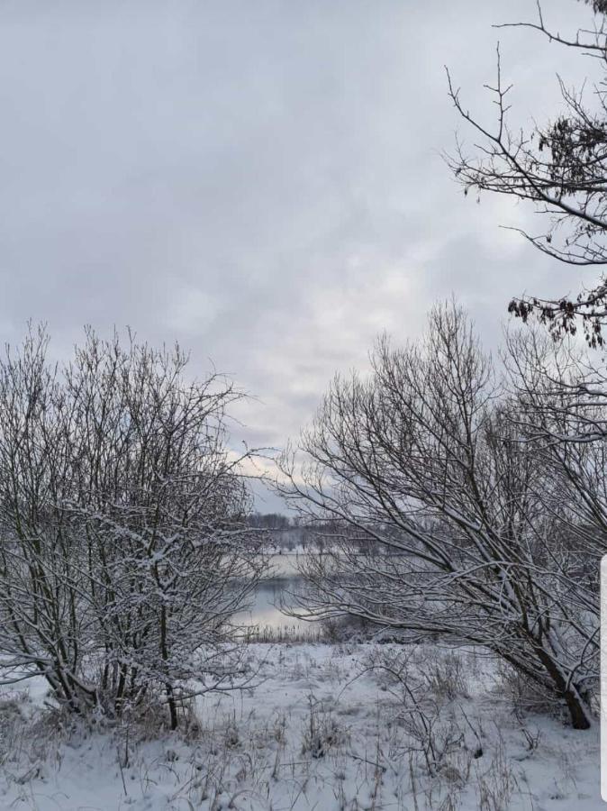 "Altes Stellwerk Frose" Am Froser See Exterior foto