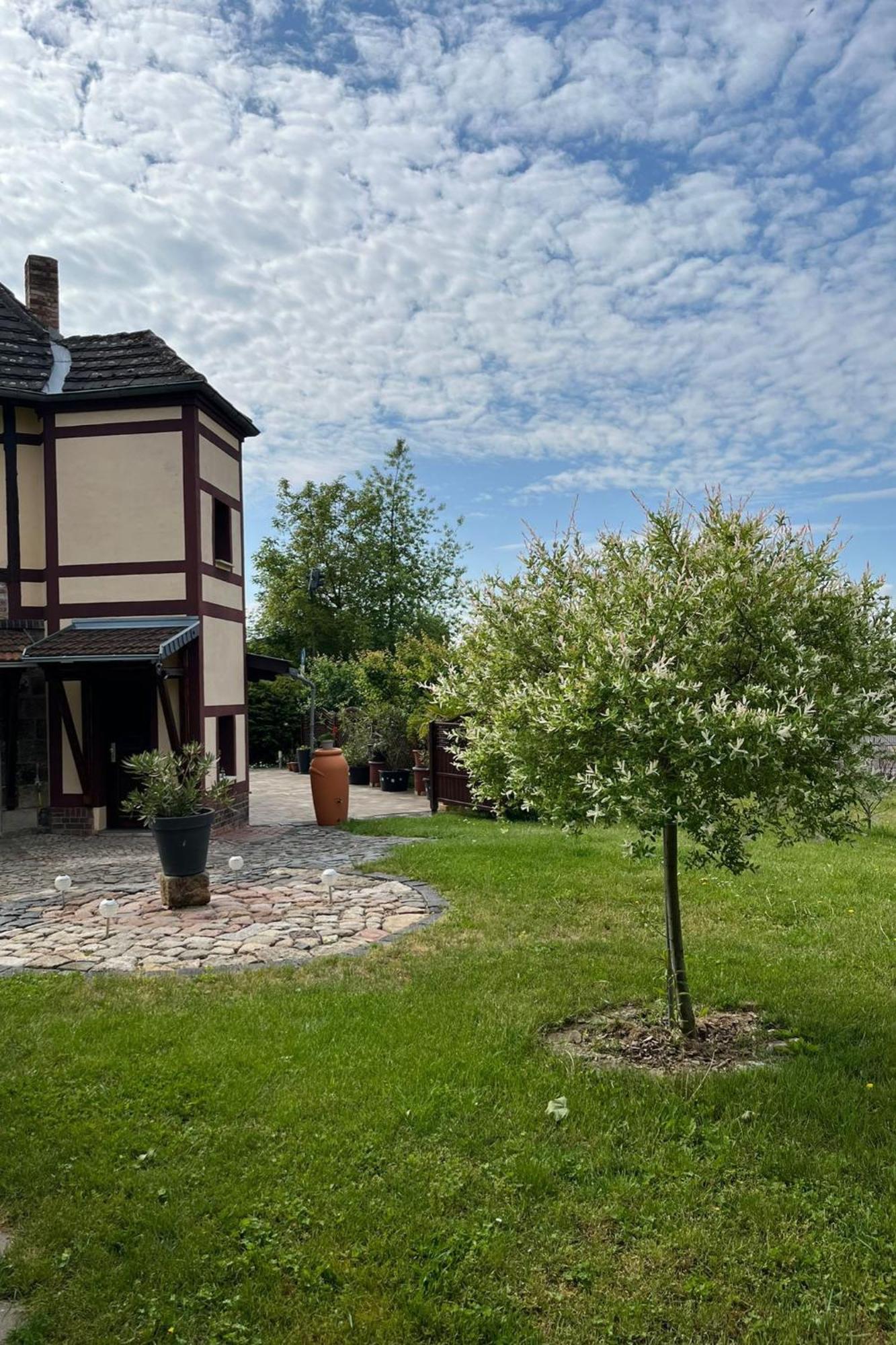 "Altes Stellwerk Frose" Am Froser See Exterior foto
